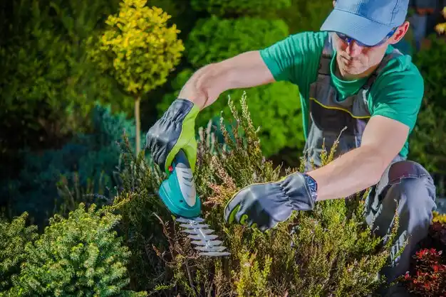 landscaping services Eatons Neck